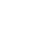 Race Chip